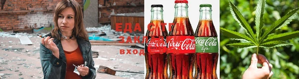 сатива Инта