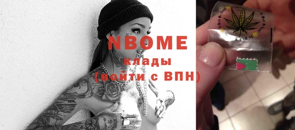 сатива Инта