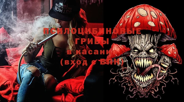 сатива Инта