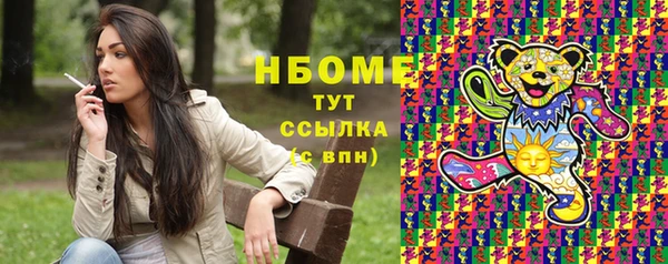 сатива Инта