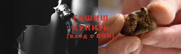 сатива Инта