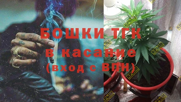 сатива Инта