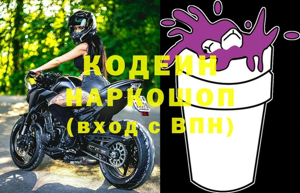сатива Инта