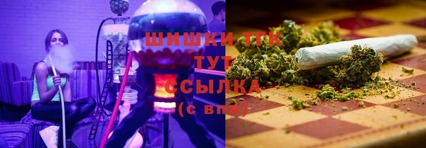 сатива Инта