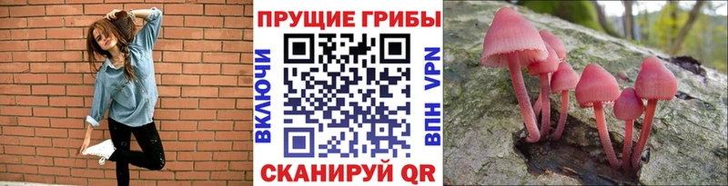 Псилоцибиновые грибы прущие грибы Купить Георгиевск